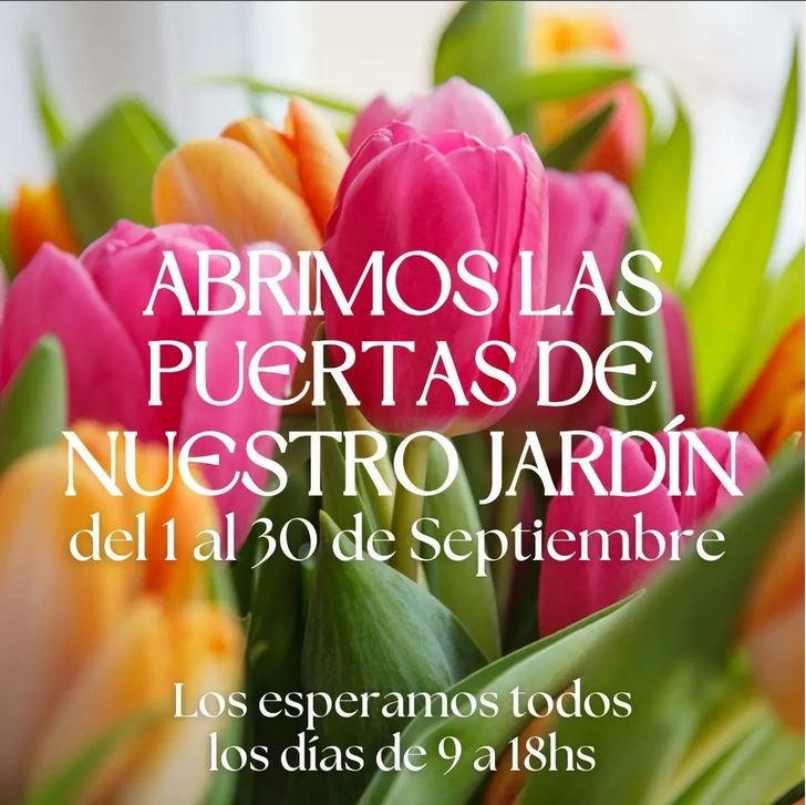 TULIPANES en el Torreón de Calamuchita