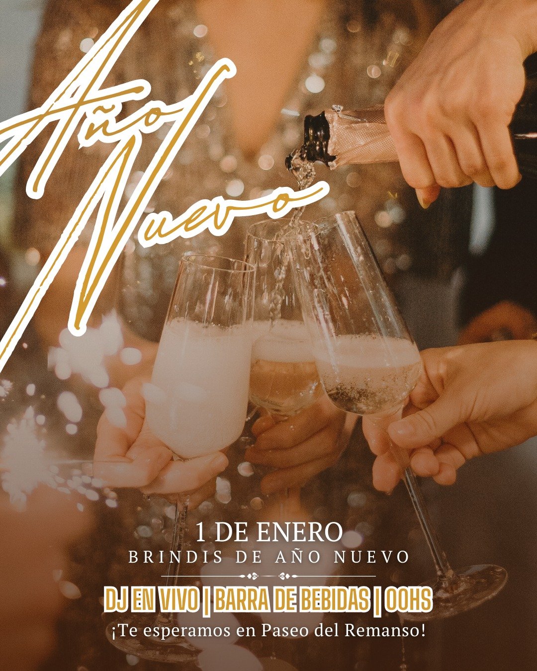 Recibí el Año Nuevo en Santa Rosa