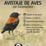 1 Click Calamuchita